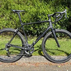 Trek Road Bike (Emonda SL6)