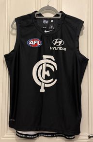 Carlton's official 150th anniversary was celebrated in 2014, during which they wore a commemorative guernsey that featured a special anniversary crest and was manufactured by Nike.