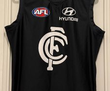 Carlton's official 150th anniversary was celebrated in 2014, during which they wore a commemorative guernsey that featured a special anniversary crest and was manufactured by Nike.
