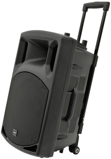12" Bluetooth PA Speaker