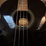 jack & danny fretless acoustic bass Image 2