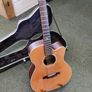 2001 Morgan Electro Acoustic MW-950SCE Image 9