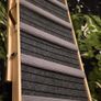 new xl Dog Ramp Image 2