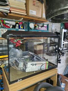 24x12 fish tank