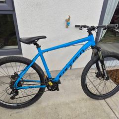 Carerra bike