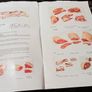 c1970s. Know Your Meat Booklet. Image 3