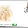 Collection 2007 Ireland Commemorative Stamps An Post First Day Cover (FDC). Collection of 26 covers. Image 4