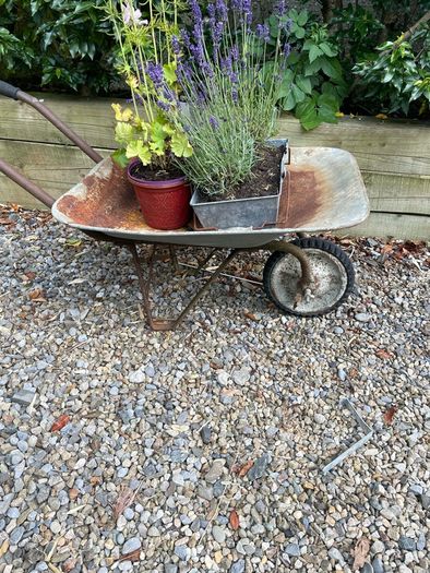 vintage wheelbarrow