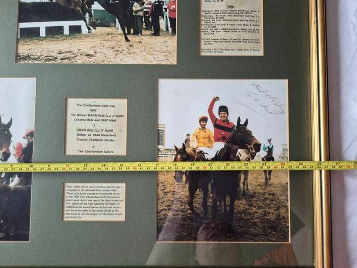 Signed Horse racing memorabilia Dawn Run Jonjo O'Neill