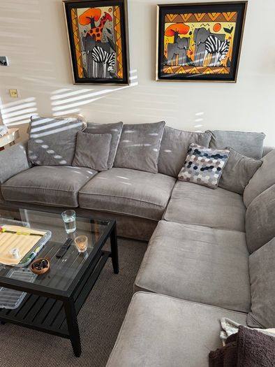 Grey Sectional Couch