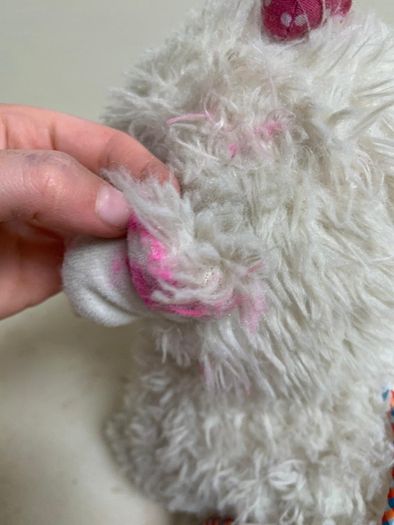 toy dog