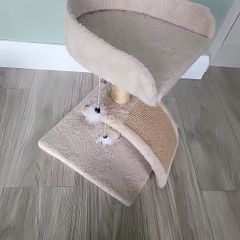 Cat Lounger and scratch post