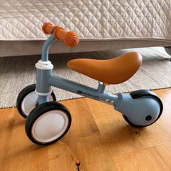 Kinderkraft Kick Bike 12m+