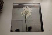 Daughter Stereo Mind Game lp