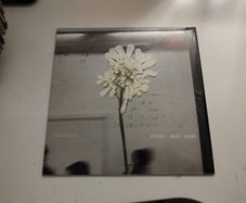 Daughter Stereo Mind Game lp