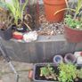 home and garden Image 4
