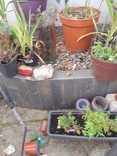 home and garden