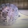 Sterling Silver Morganite Ring Image 2