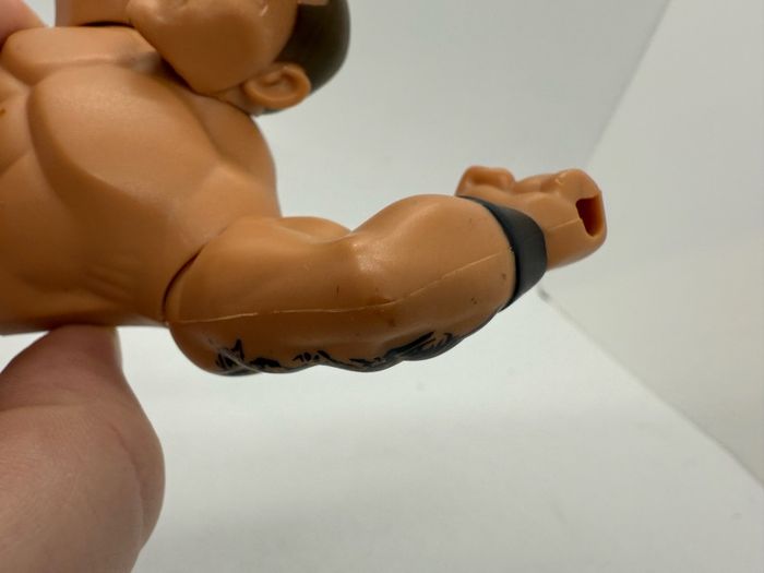 wwe power Slamers Randy Orton action figure