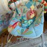 Bright Starts - Bouncer / Cradling Seat Image 2