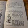 Rare Find. A Primary History of Ireland Book 1 from earliest times to 1691. Mairead Ni Ghrada Image 8