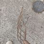 6 tine beet or turf fork Image 2