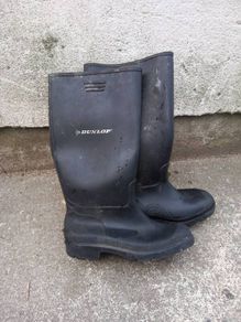 Wellingtons boots
