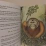The Little Gibbon Who Lost His Song, story book Image 7