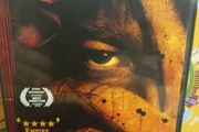 The General Dvd 1996 Martin Cahill Biopic Dublin Crime Brendan Gleeson