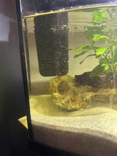 60lt fish tank with loads of extras