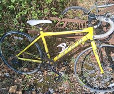 carrera for parts