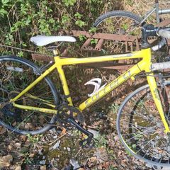 carrera for parts