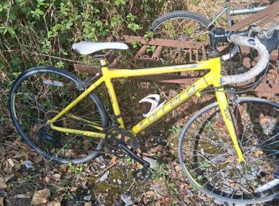carrera for parts