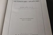 A Text Book Of. Veterinary Anatomy