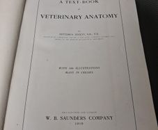 A Text Book Of. Veterinary Anatomy