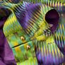Colourful Top - Butterfly by Matthew Williamson    Size 12 Image 4