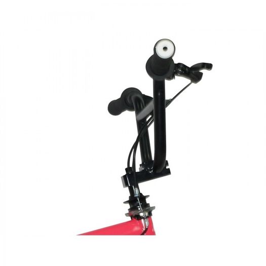 11" Rooster BIG MOMMA, 20" Black Skyway Mags, Neon Pink
