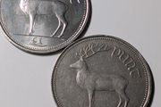 Irish Pound coins