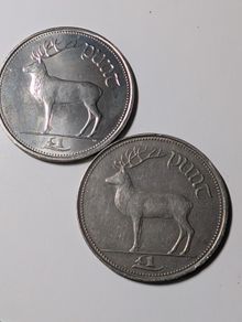 Irish Pound coins