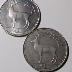 Irish Pound coins