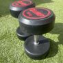 2 x 20kg dumbells Image 2