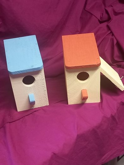 Bird feeders And Bitd houses