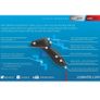 Scalextric C8438: New ARC PRO Wireless Hand Throttle (digital controller) Image 3