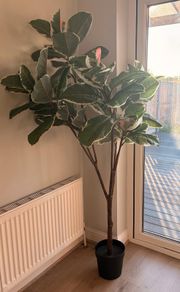 IKEA FEJKA Artificial Plant