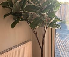 IKEA FEJKA Artificial Plant
