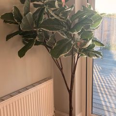 IKEA FEJKA Artificial Plant