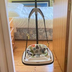 Graco Baby Doorway Bouncer Jumper