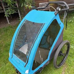 double buggy