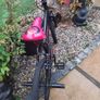 Girls bike Image 3