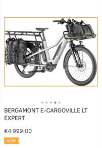 Electric Bike